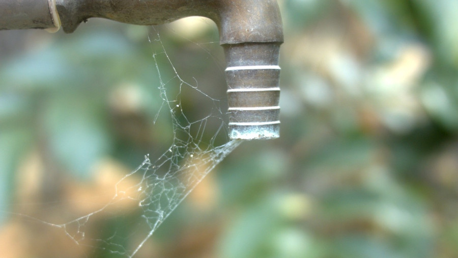 Watering grassroots