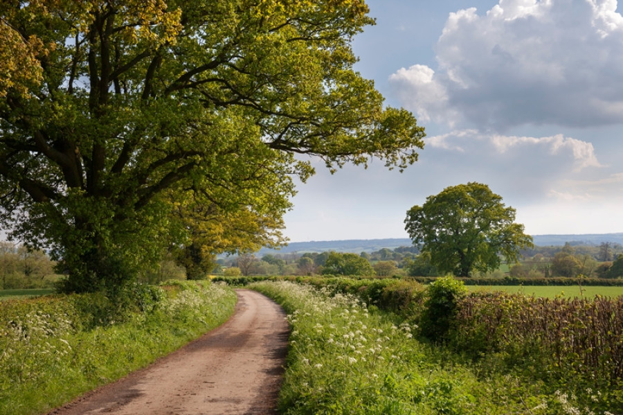 A drive down memory lane