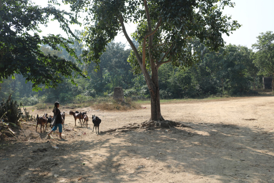 Bardiya District Administration Office requests locals to not enter Indian forests without due process