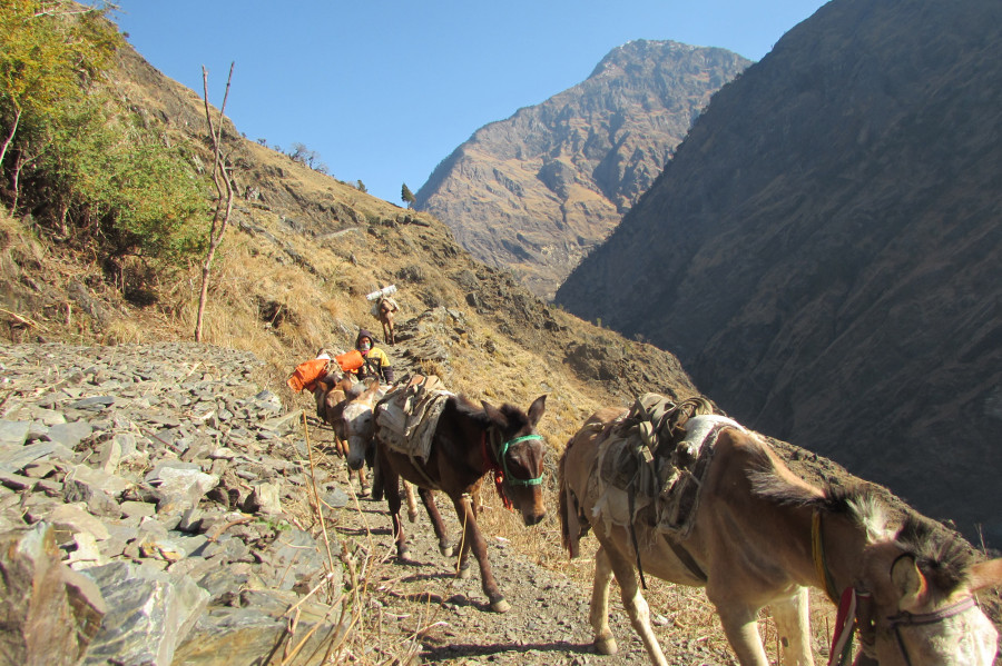 Contractors selling subsidised rice in Rukum (East) due to lack of employees in depots