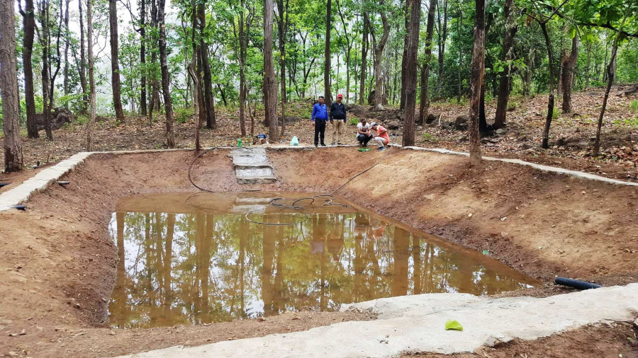 Province 5 government takes initiatives to conserve wetlands