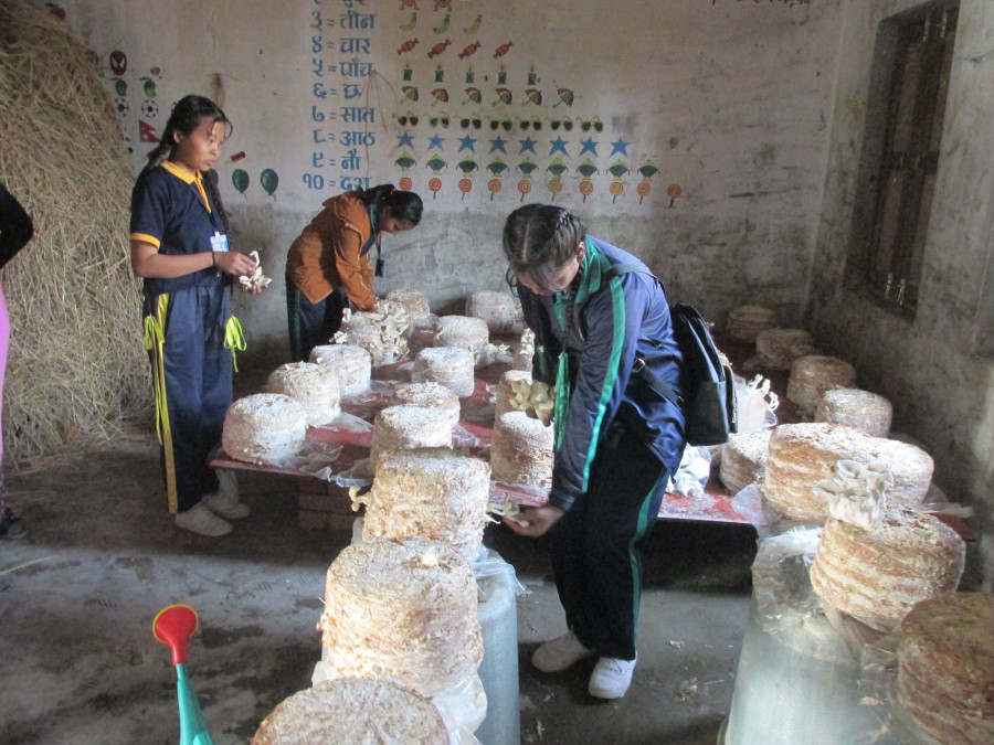 Students receive practical lessons in agriculture farm