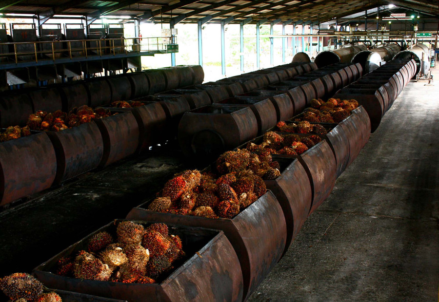 With the export of everything else falling, palm oil rises to the top