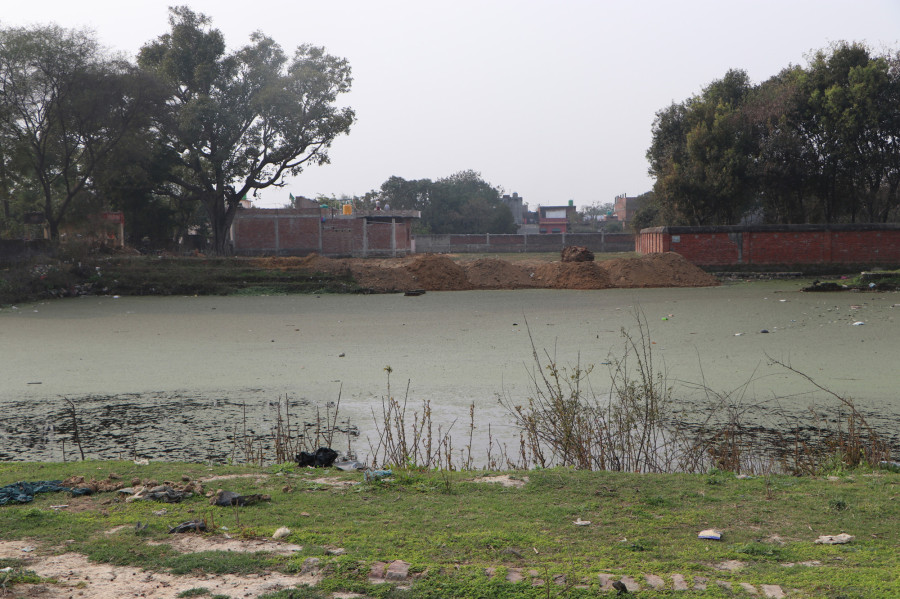 Local authorities are encroaching on Nepalgunj ponds