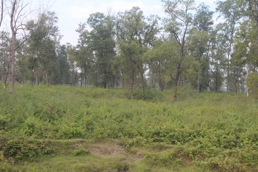 Nepal starts work to build a dry port in the far west