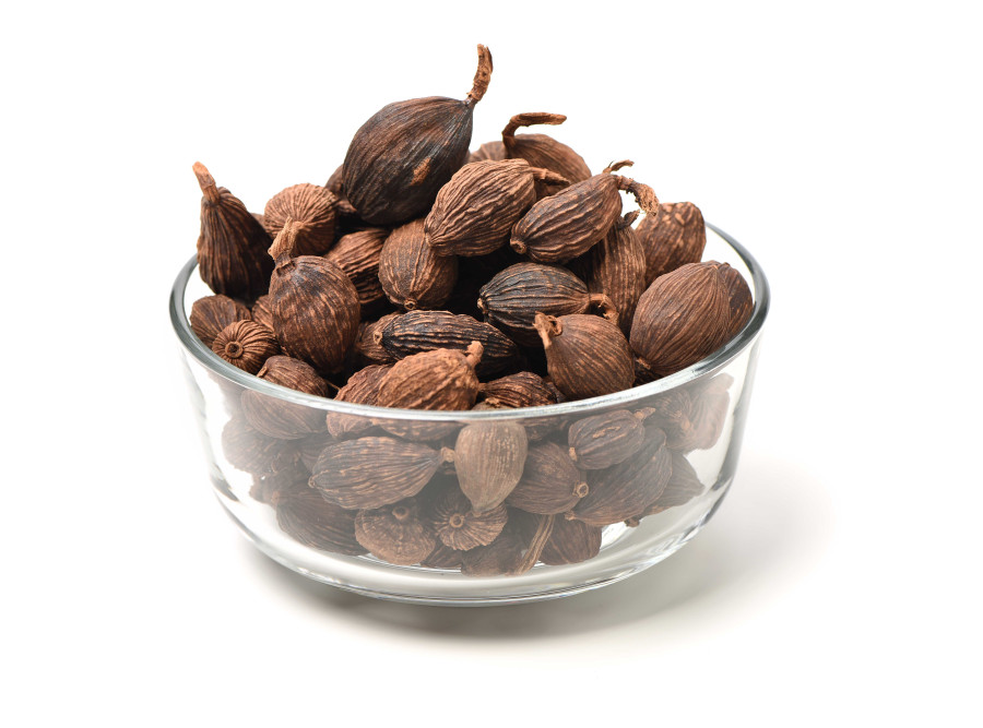 Nepali large cardamom growers and traders cheer rebound in prices