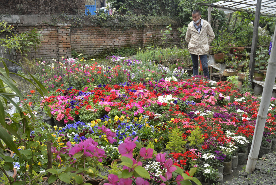 Massive slump in demand during the peak season has the nursery industry on edge