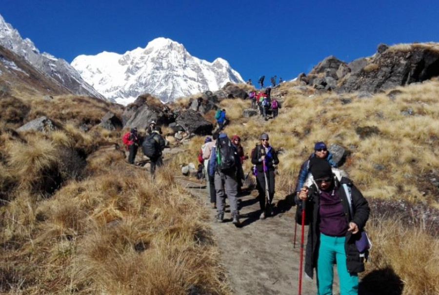 Government decision to open tourism takes the sector by surprise