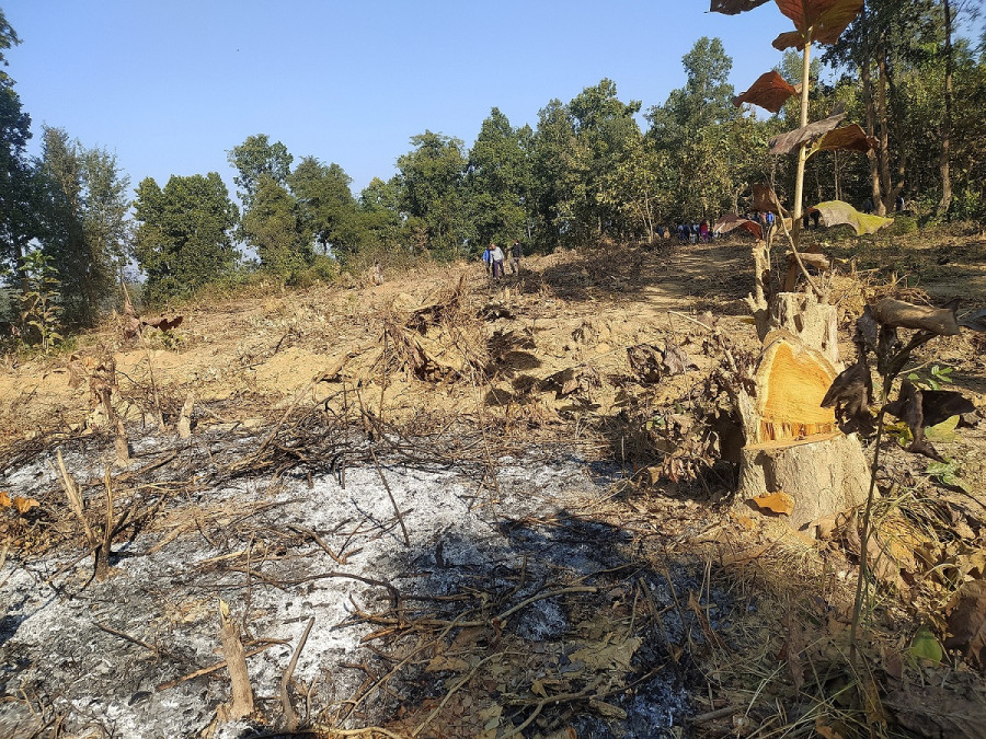 Five bighas of forest land encroached in Bardibas, Mahottari