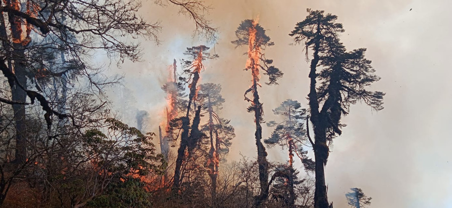 Fire rages on in Pathibhara forest area