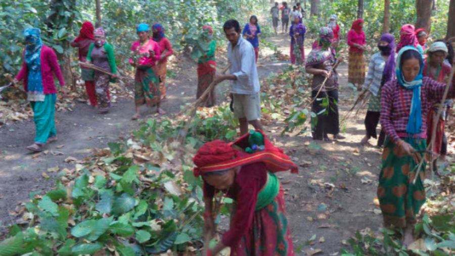 Community forest users’ groups decry continuation of heavy taxes