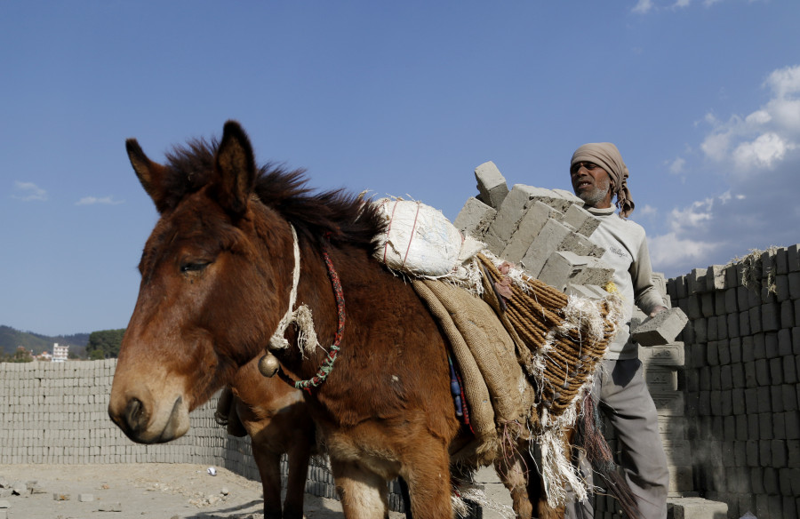 Plan to replace foreign workers with Nepalis in various sectors is easier said than done