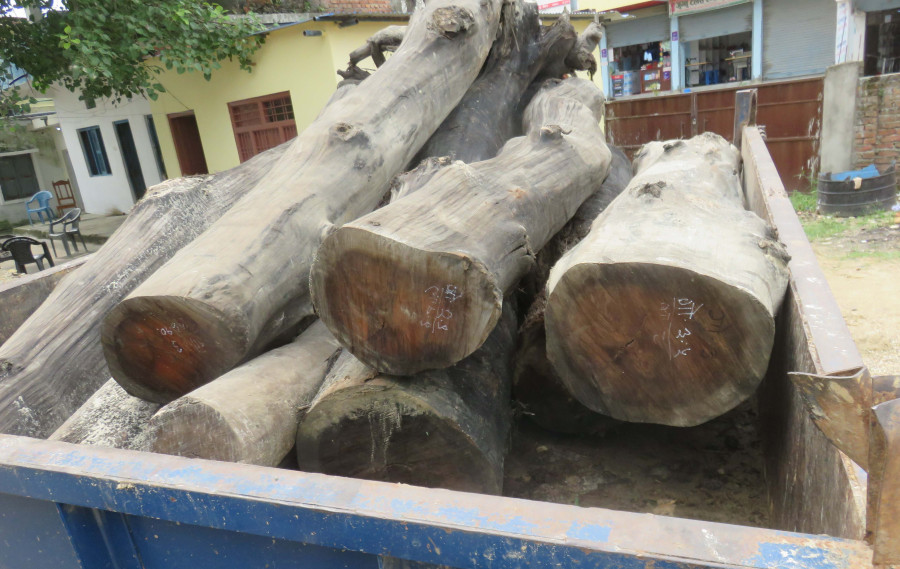Locals of Musahar settlement in Dhanusha and police clash over timber logging
