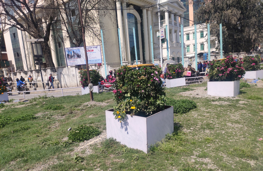 Kathmandu Metropolitan City fails in its attempts to beautify traffic islands with flower beds using aeroponic technology