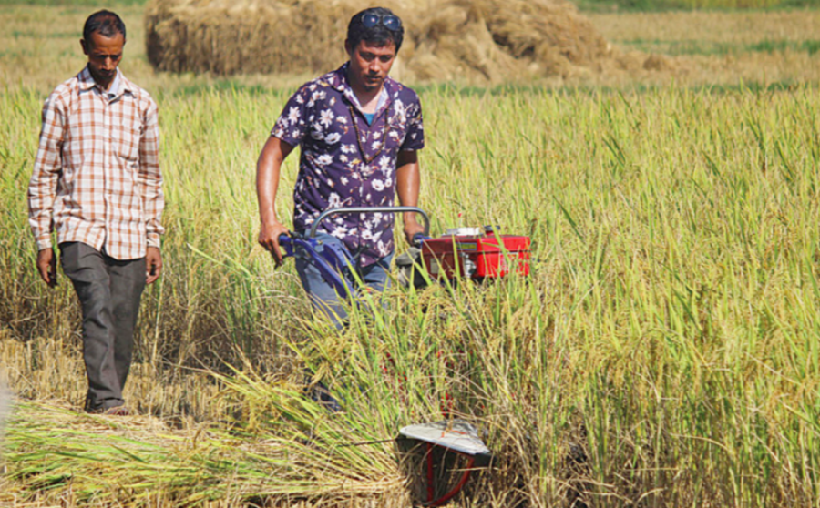 Returning migrant workers can be lured into profitable commercial agriculture, experts say