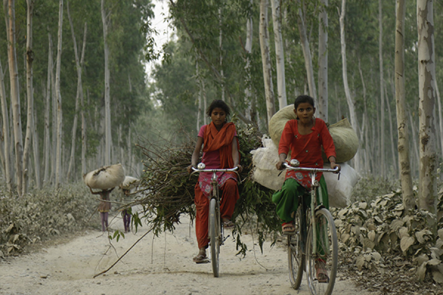 Timber collection ban discourages user groups from continuing conservation