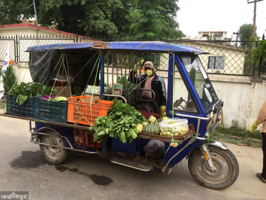 Lockdown adversely affecting vegetable farmers in Dhangadhi