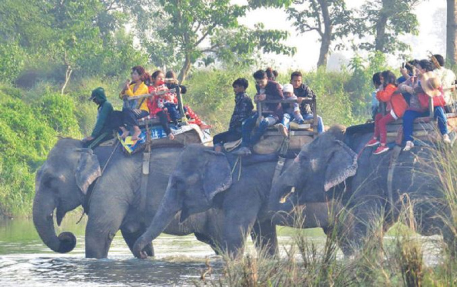 Sauraha elephant owners say Chitwan park authority has barred them from grazing their animals