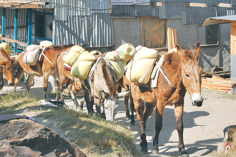 Nepal-China border closure affects northern villages of Sankhuwasabha, Taplejung
