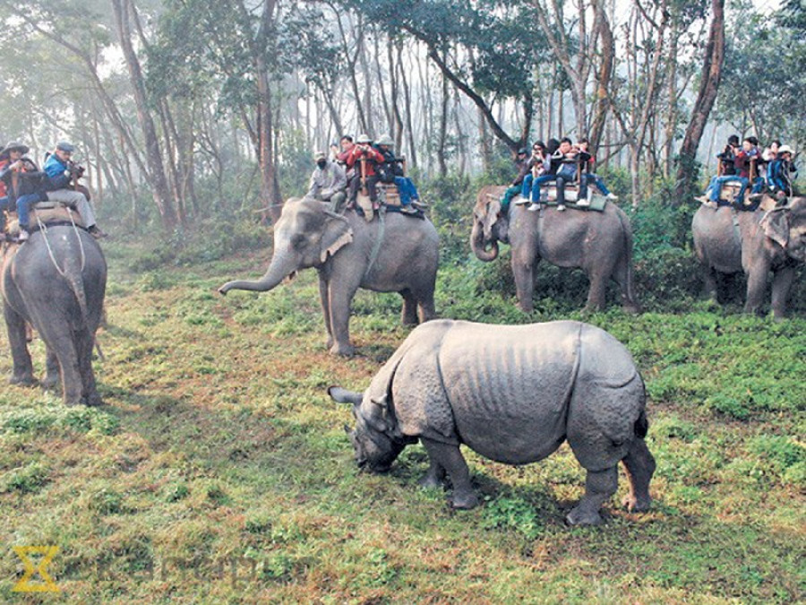 Elephant keepers at Sauraha used to earn Rs 100,000 per month before the Covid-19 pandemic upended their business