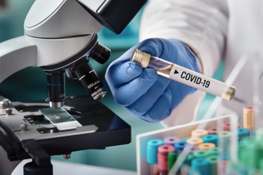 535 new cases take Nepal’s Covid-19 tally to 9,561