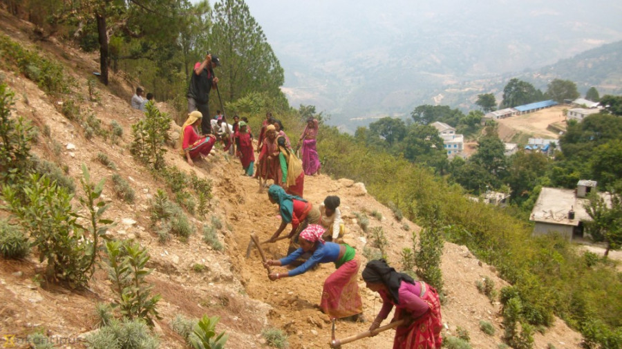 569 local units receive Rs6.89 billion for Prime Minister Employment Programme