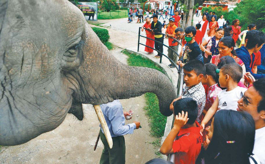 Country’s lone zoo struggles to sustain with no visitors for months amid the pandemic