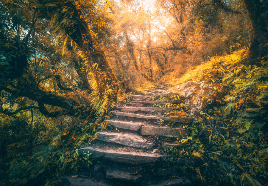 The soft places between dreams and reality
