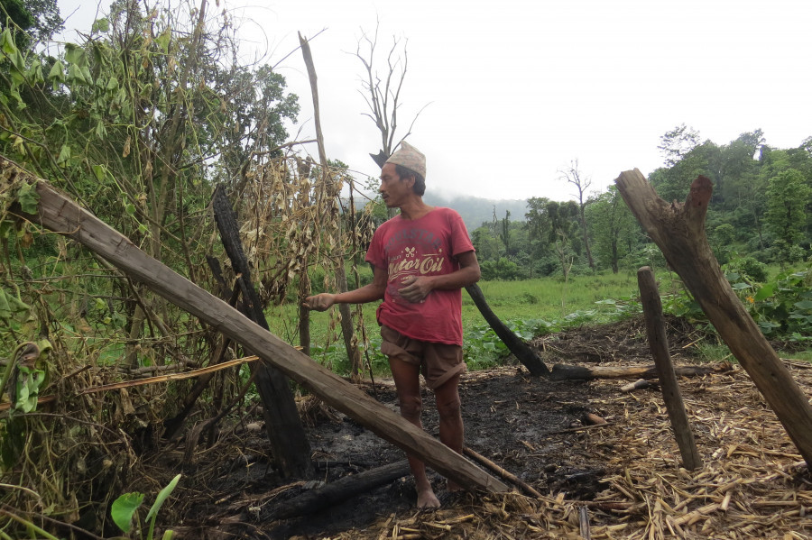 Why current conservation models are flawed