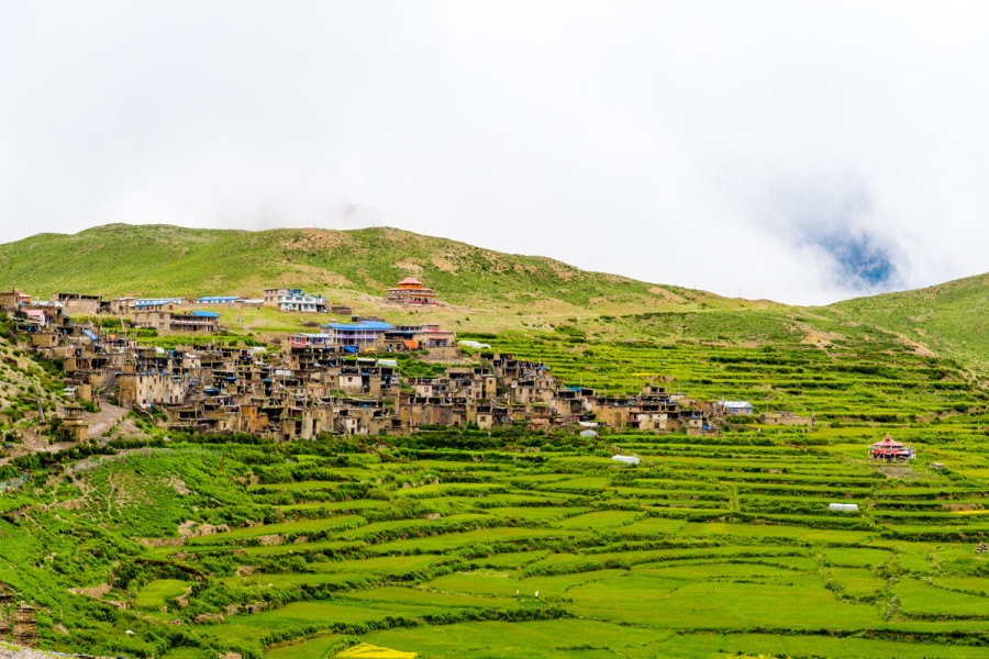 The future of mountain farming