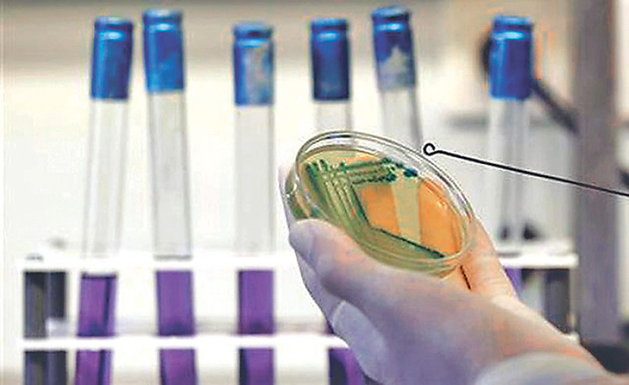 Quality watchdog comes up with standards for 12 food products