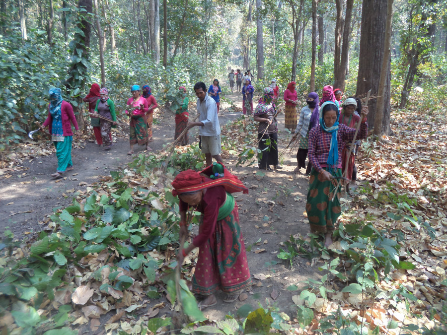 Everything you need to know about Nepal’s carbon trade deal