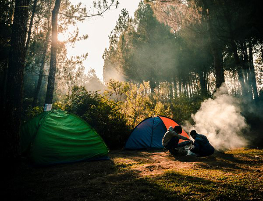 This weekend, go camping
