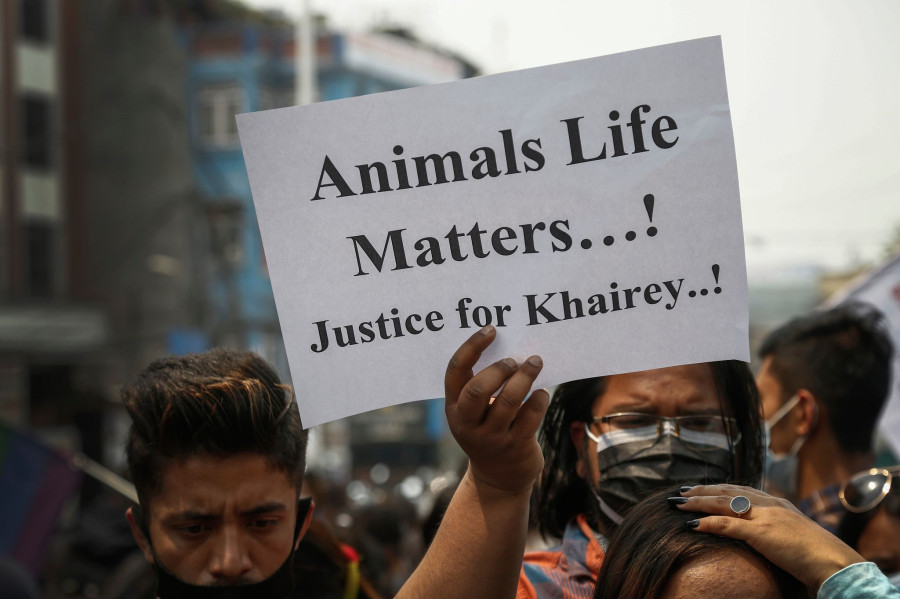 Rest in rage, Khairey