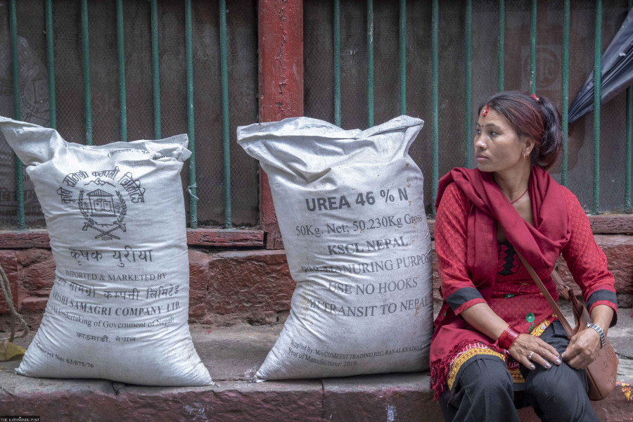 Winter harvest likely to be hit as fertiliser shortage harasses farmers
