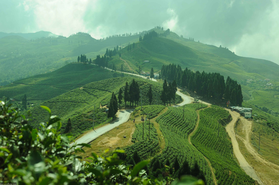 Ilam sees hard times ahead as tourists stop coming