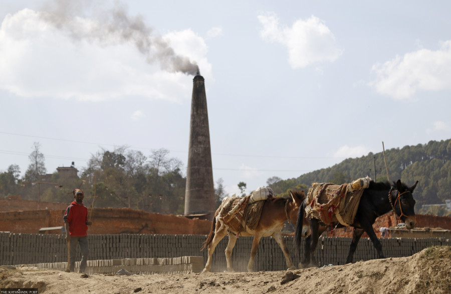 Coal shortage hits domestic brick and cement factories