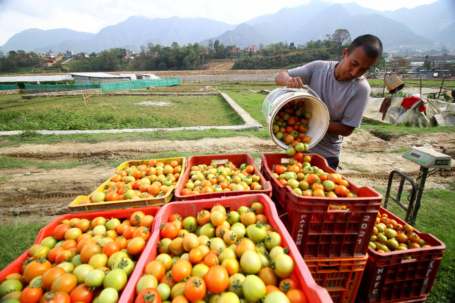 Farmers face getting wiped out for lack of market access