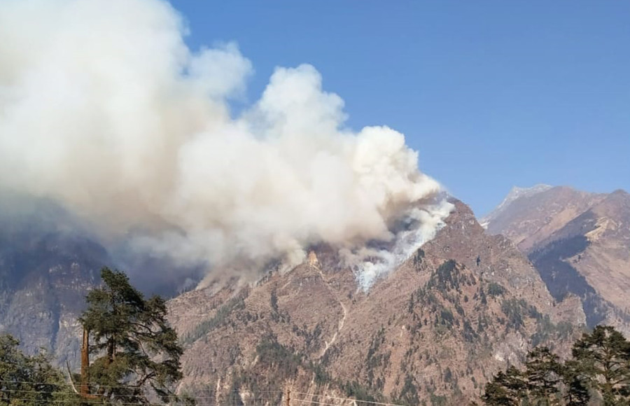 Wildfire burns 700 hectares of forest cover in Manang