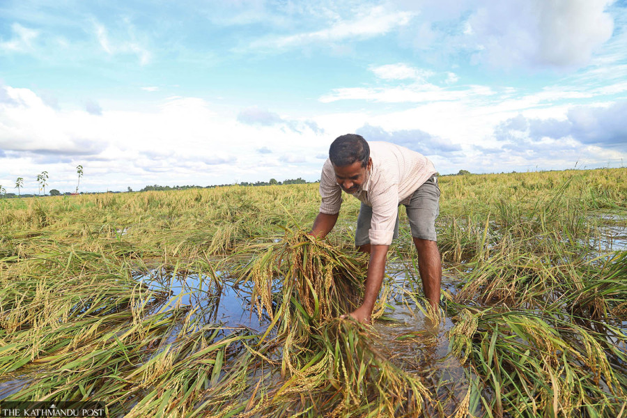 Unseasonal October rains to shave up to 0.6 percentage points off GDP