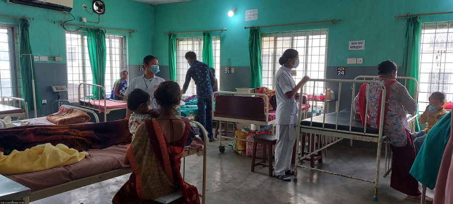Scrub typhus, dengue cases rise in Lumbini
