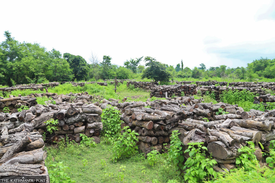 Timber worth millions missing from Kapilvastu community forest