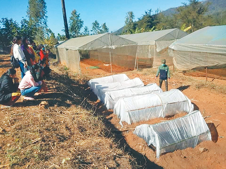 School programme helps students carry out income-generating activities