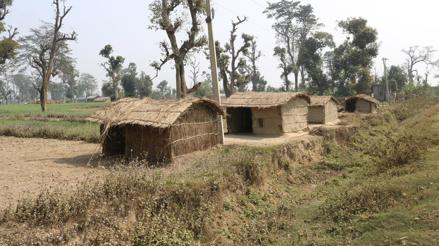 Bardiya villagers build huts in community forest in hopes of getting land deeds
