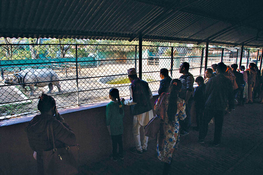 Covid-19 restrictions once again worry Central Zoo officials