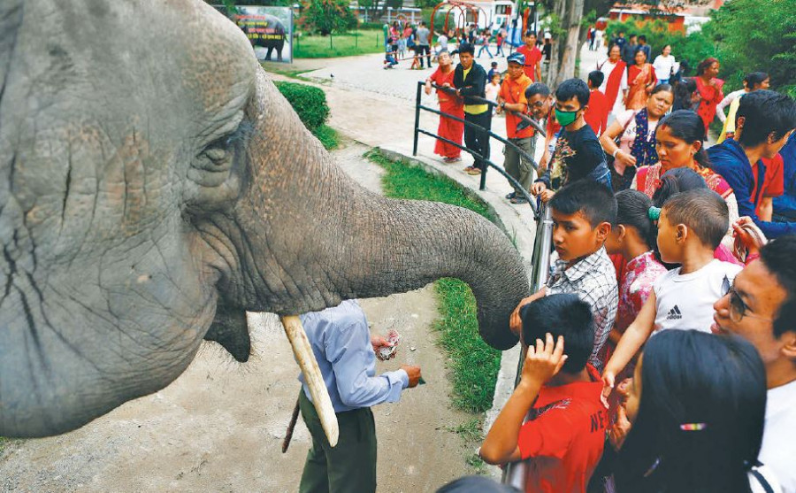 Struggling Central Zoo asks Rs 150 million grant from government