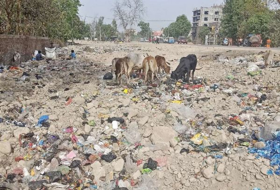 Bhimdatta municipal government has no place to manage town's waste