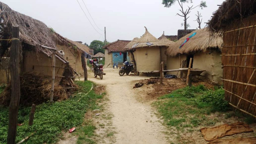 Virus in the villages