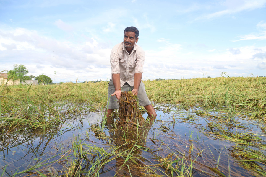 Let the autumn anguish end