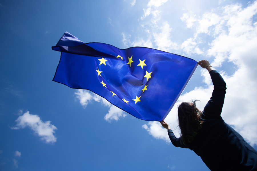 A Covid-19 counterfactual for Europe